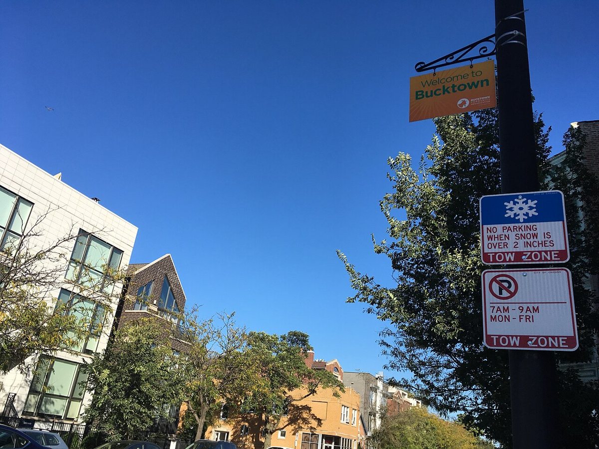 a tree-lined Bucktown residential street