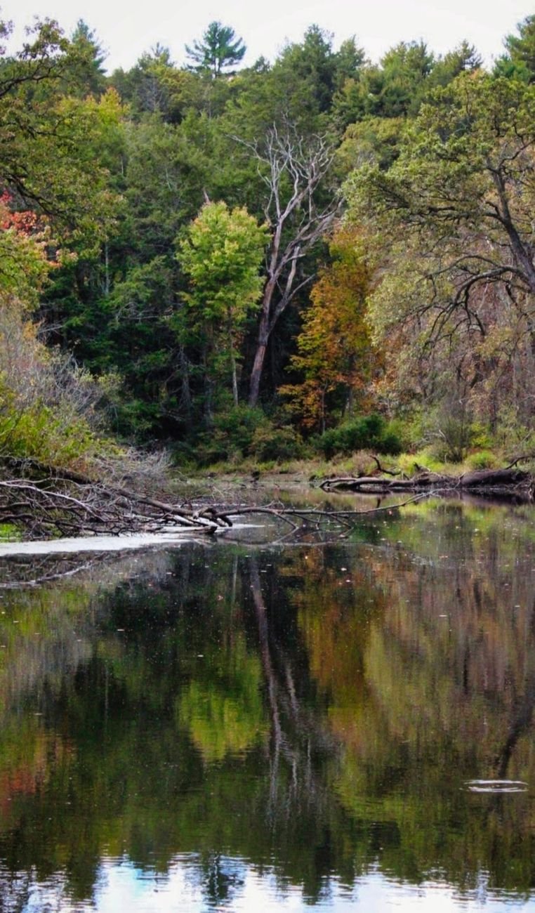 Rapids and river bluffs at Kankakee River State Park, Illinois