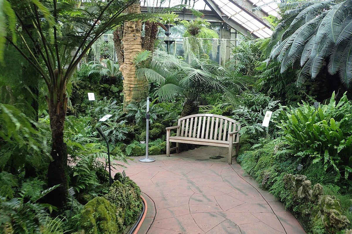 Interior of the Palm House at Lincoln Park Conservatory in Chicago