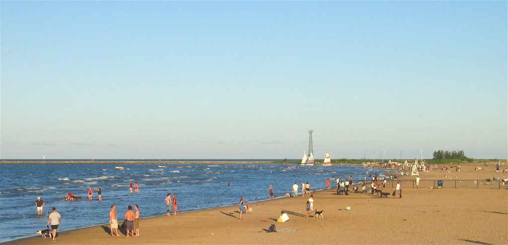 Montrose Beach and dune area along Lake Michigan in spring